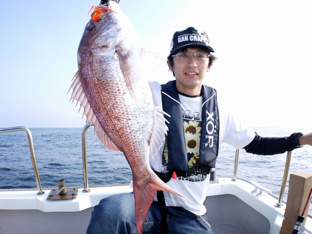 良型マダイ
