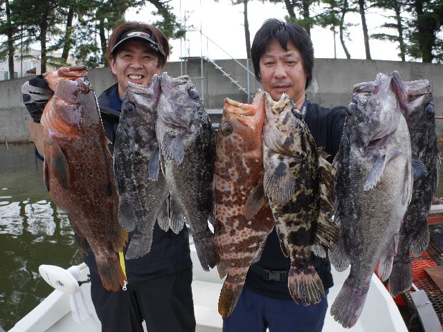 名古屋港 キジハタ&クロソイ&タケノコメバル