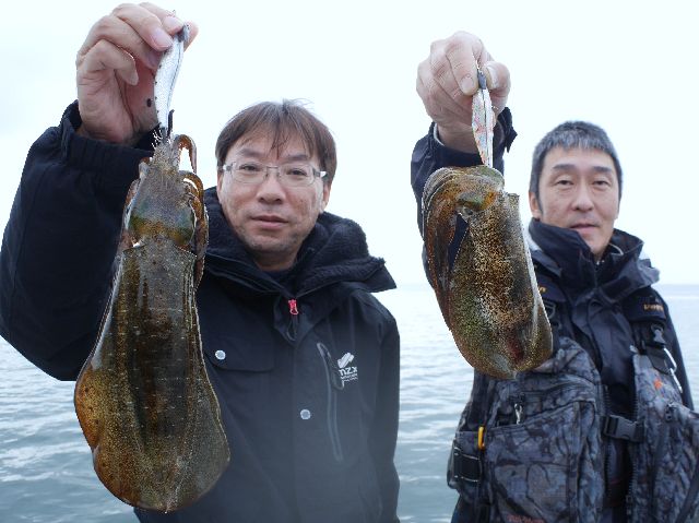 名古屋港出船 アオリイカ