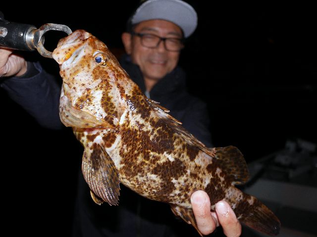 良型 タケノコメバル