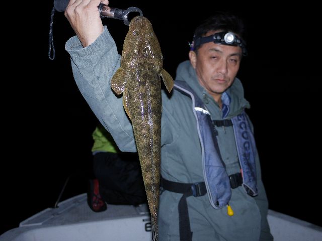 マゴチ