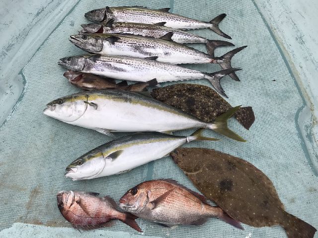 釣果写真