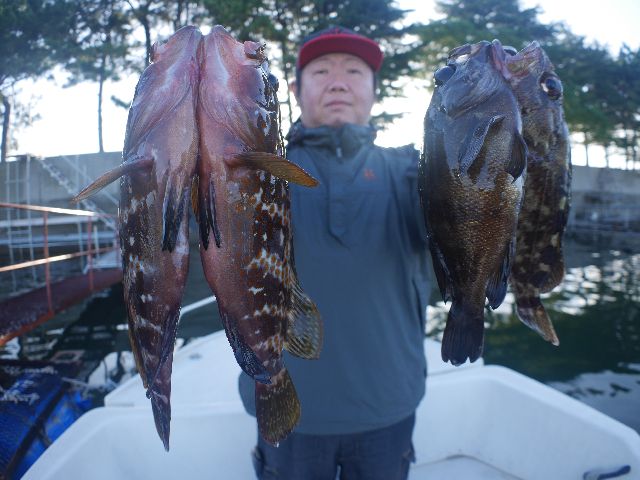 名古屋港 キジハタ&根魚