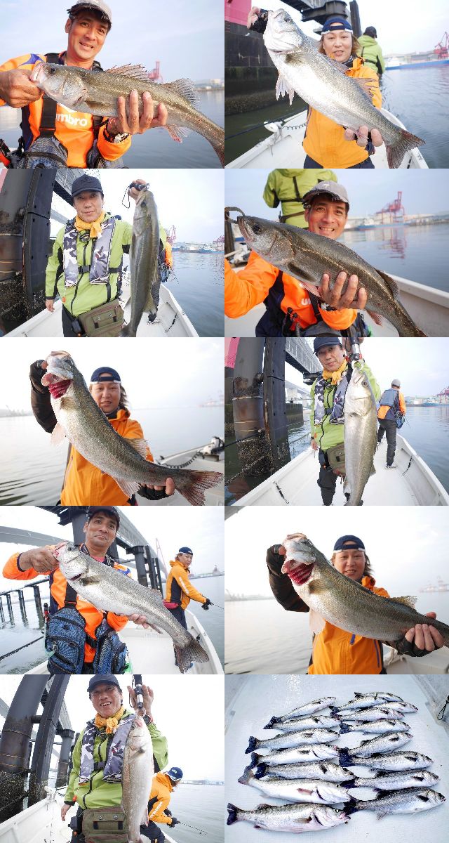 シーバス 釣果写真