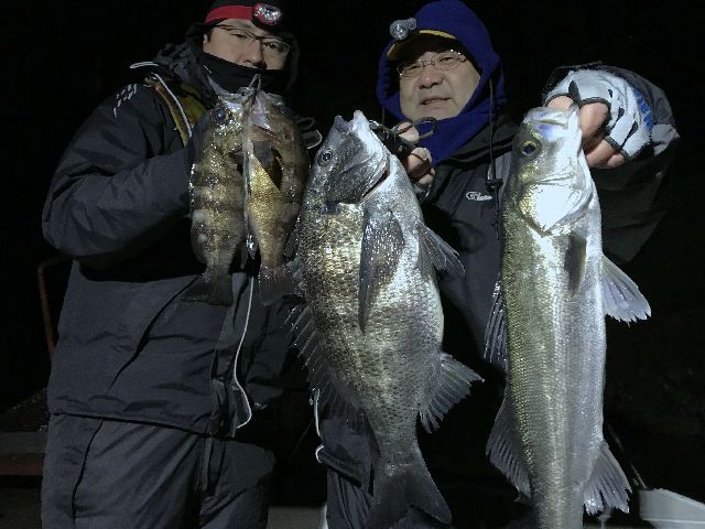 名古屋港 多魚種狙い