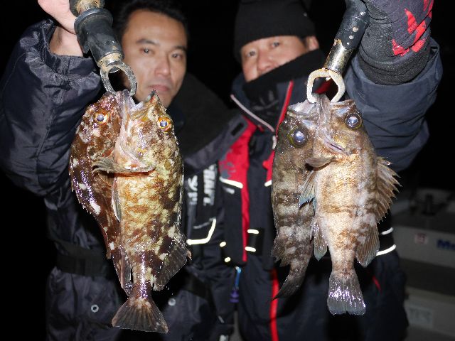 名古屋港 根魚