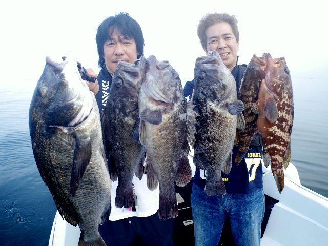 名古屋港 キジハタ&クロソイ&根魚