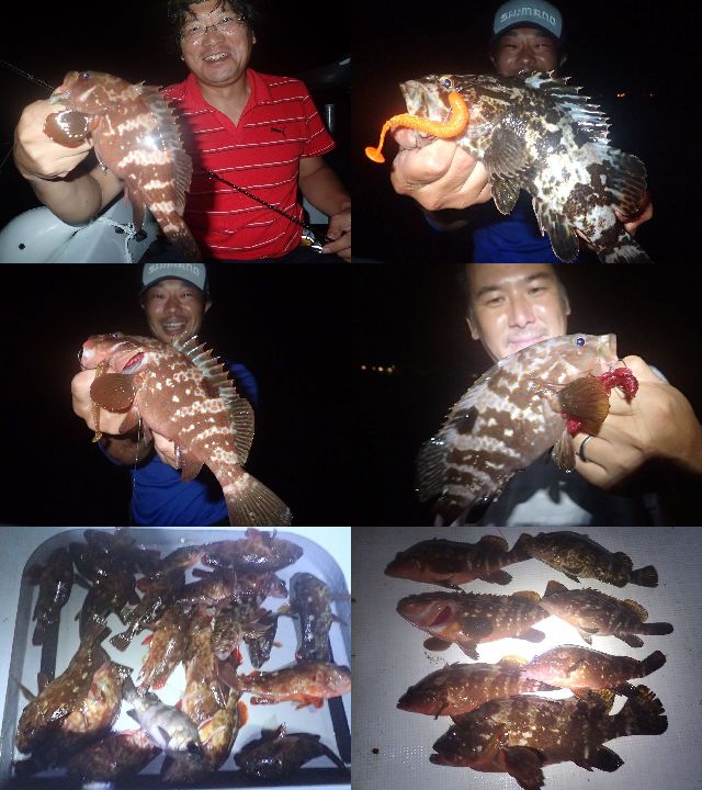キジハタ カサゴ 釣果写真