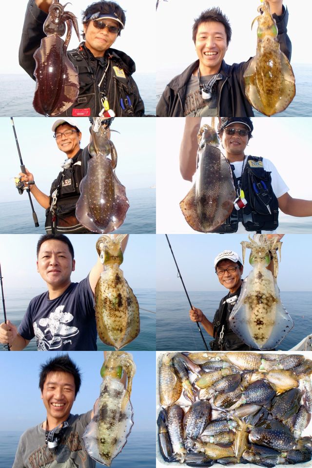エギング 釣果写真