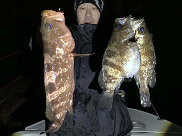名古屋港 メバル カサゴ キジハタ