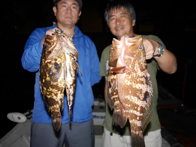 名古屋港 キジハタ&タケノコメバル