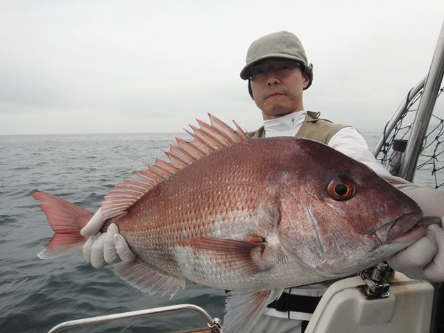 DSC06020