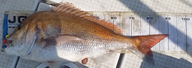 20170430_091305
