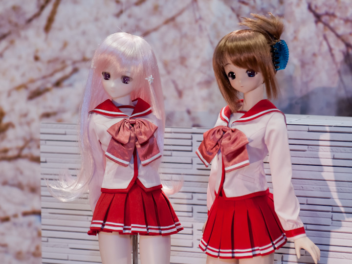 VOLKS - ボークス　ドルフィードリーム　DDdy　新見遥佳 DDdy新見遥佳 : 自由な色で広げたい