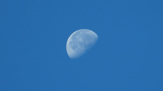 IMG_6988s