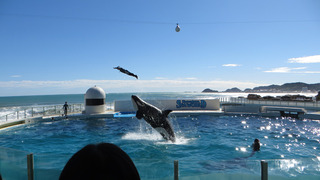IMG_7072s