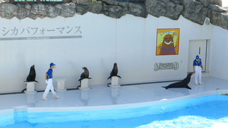 IMG_7078s