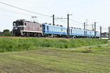 20161004-9099