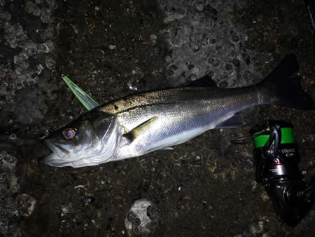 donkey_angler_05_191