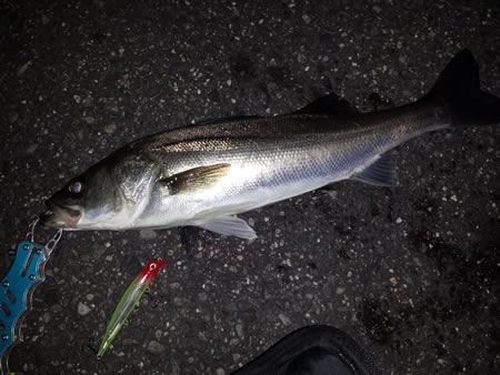 donkey_angler_05_185