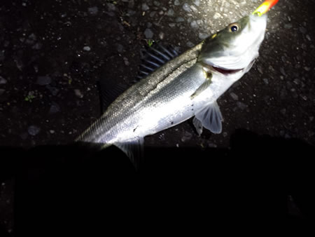 donkey_angler_05_162