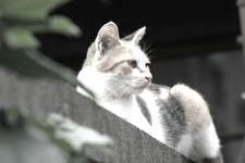 Photo 2月 22, 12 17 13