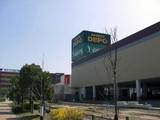 71cec711.jpg