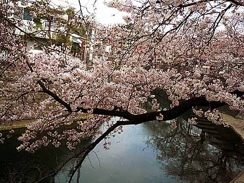 2016_04_01_01a