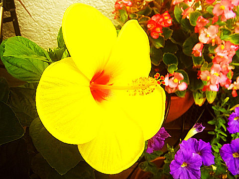 2018_07_28_04a
