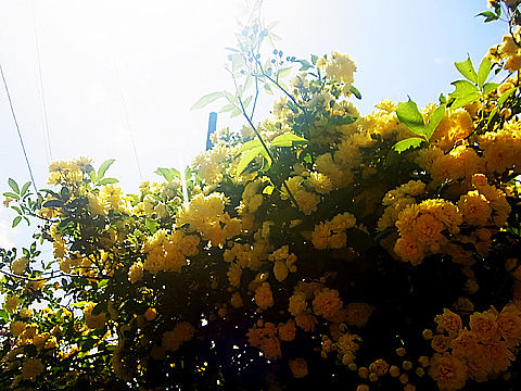2018_04_13_01a