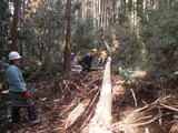 P2050004