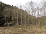 P1150007