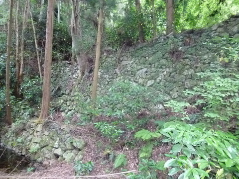 P1160226