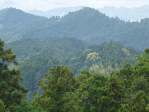 P1160231