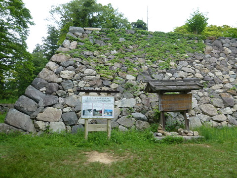 P1160240