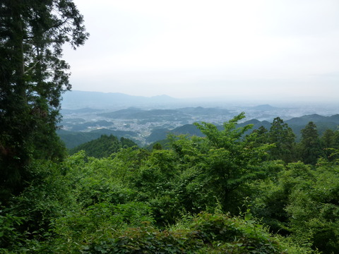 P1160229