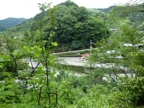 P1160413