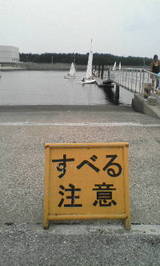 64e01557.jpg