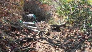 熟年夫婦熟年夫婦八海山8