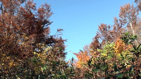 熟年夫婦熟年夫婦八海山29