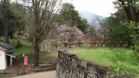 熟年夫婦温泉旅行サクラ3