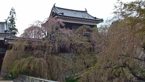 熟年夫婦温泉旅行熟年夫婦温泉旅行シダレ