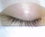 87d786fc.jpg