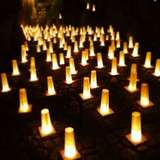 2012-08-26 07:47:10 写真1