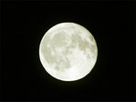 photo1