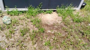 P_20180603_125144_vHDR_Auto