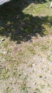 P_20180603_142048_vHDR_Auto