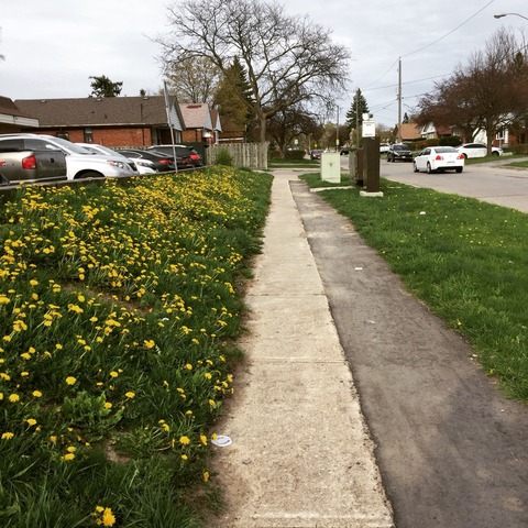 2017-04-29-07-10-10