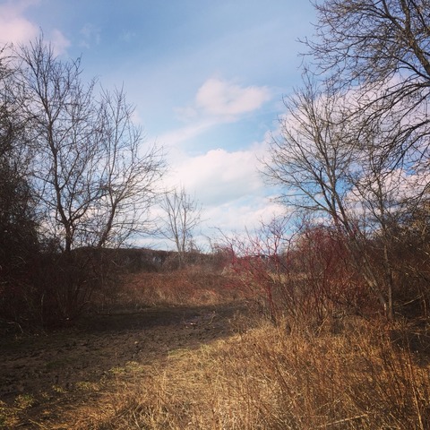 2017-04-03-04-31-34