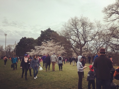 2017-04-30-04-44-42